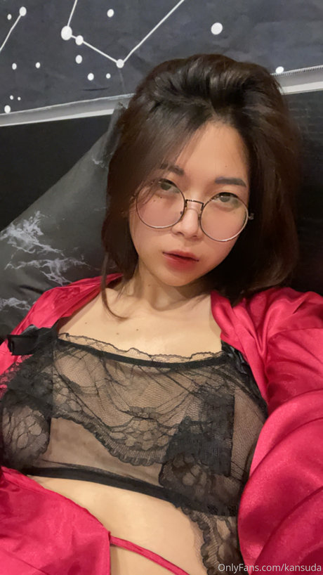 Kansuda photo 16