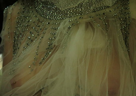 Lactescens photo 8