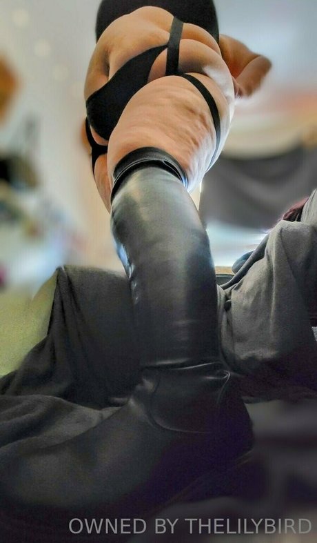 Ladylilithbyrd photo 114