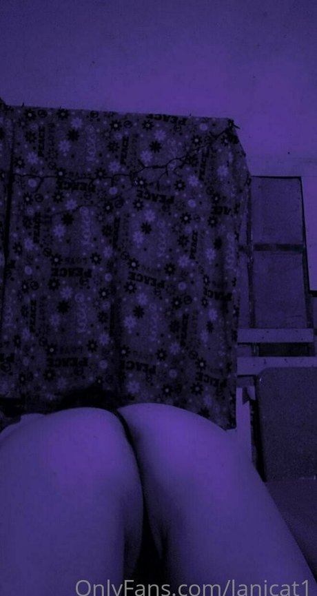 Lanicat1 photo 69