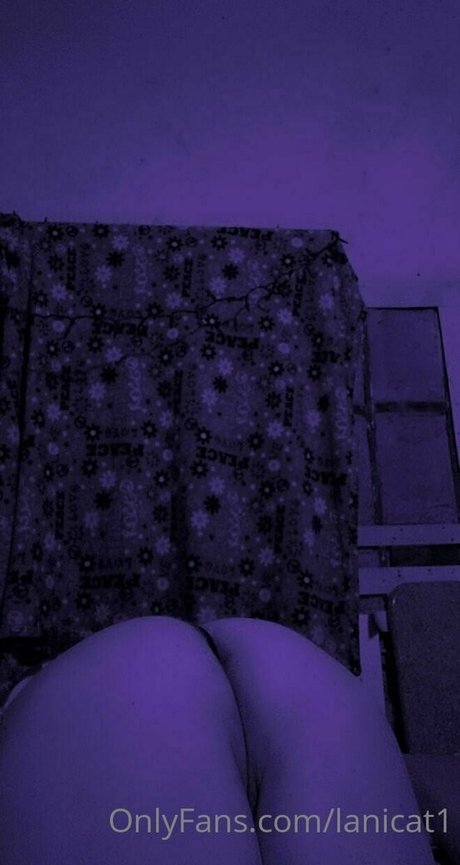 Lanicat1 photo 70