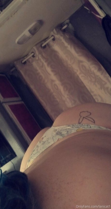 Lanicat1 photo 94