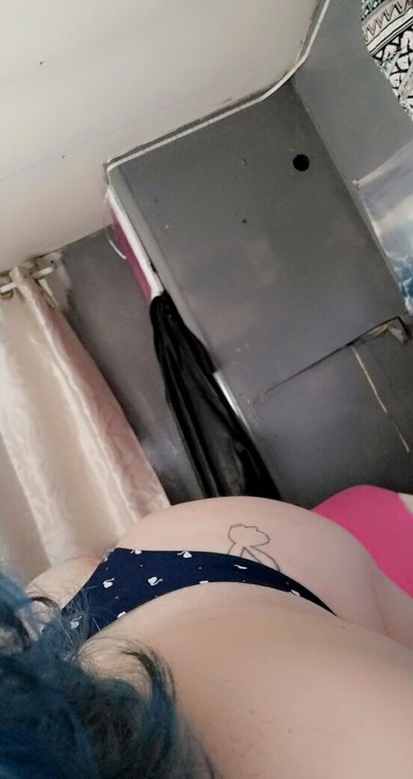 Lanicat1 photo 95