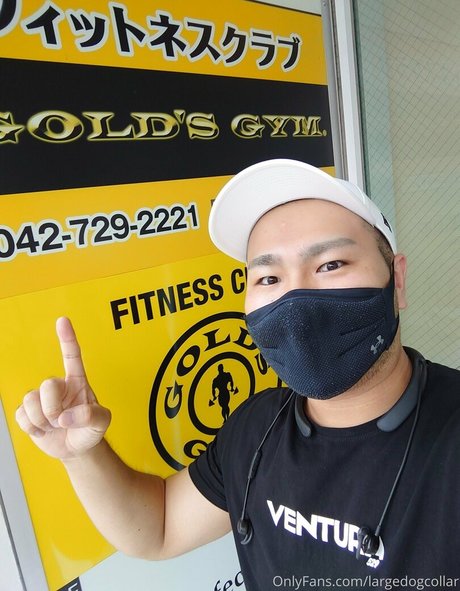 Largedogcollar photo 7