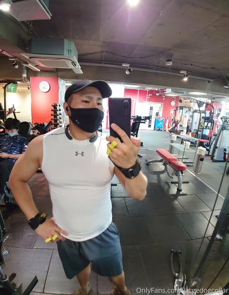 Largedogcollar photo 10