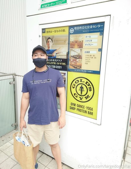 Largedogcollar photo 17