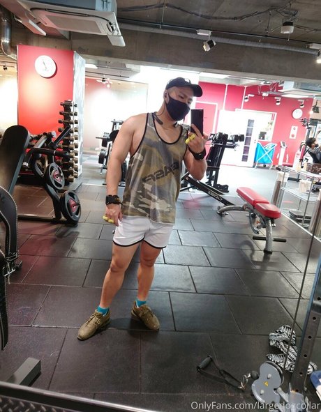 Largedogcollar photo 18