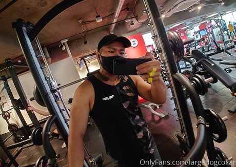 Largedogcollar photo 21