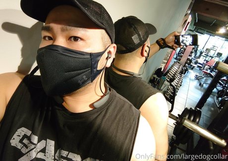 Largedogcollar photo 22