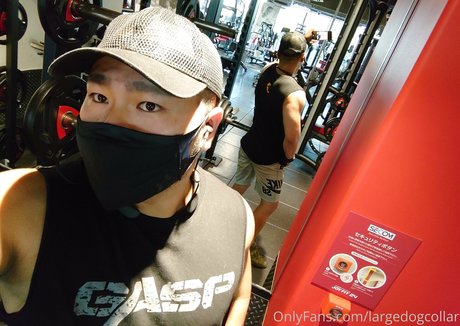 Largedogcollar photo 23