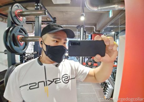 Largedogcollar photo 30