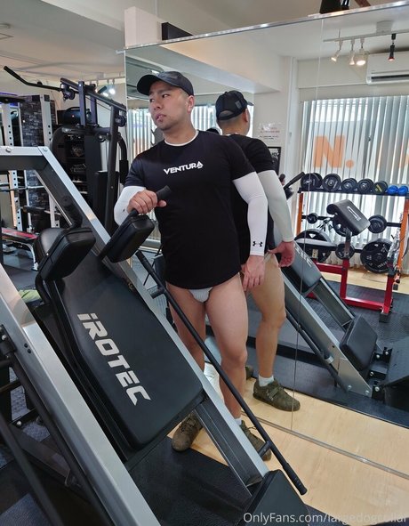 Largedogcollar photo 34