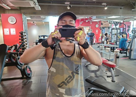 Largedogcollar photo 36