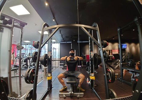 Largedogcollar photo 46