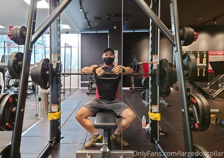 Largedogcollar photo 47