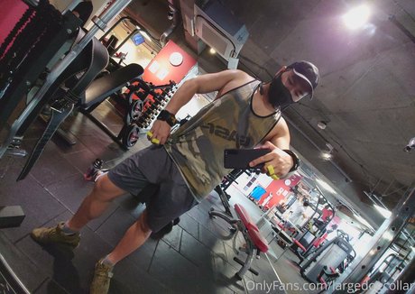 Largedogcollar photo 51