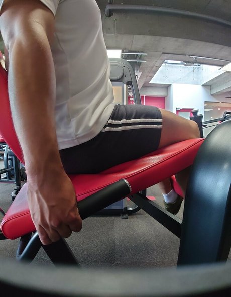 Largedogcollar photo 59