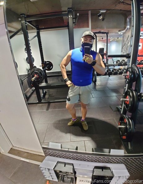 Largedogcollar photo 63