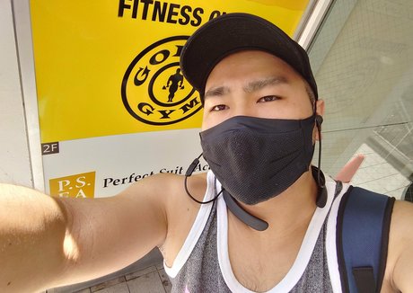 Largedogcollar photo 73