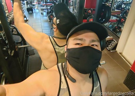 Largedogcollar photo 76