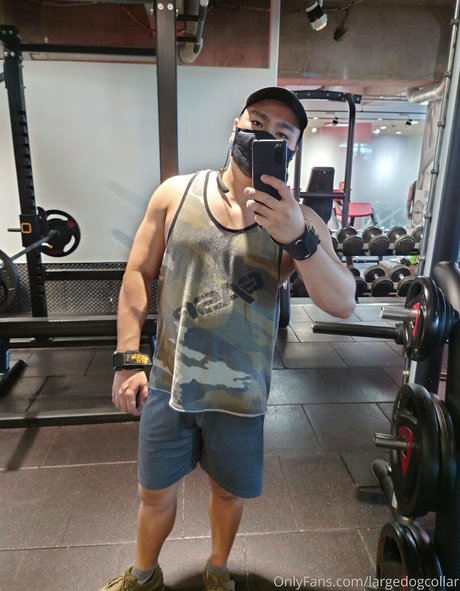 Largedogcollar photo 77