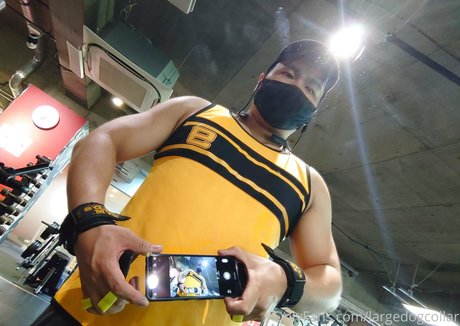 Largedogcollar photo 80