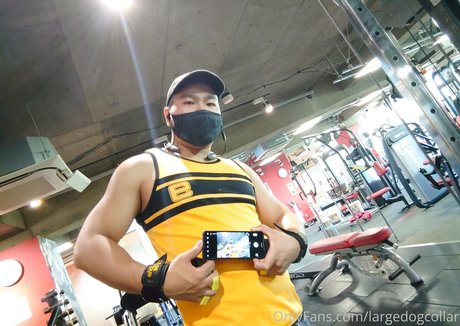 Largedogcollar photo 81