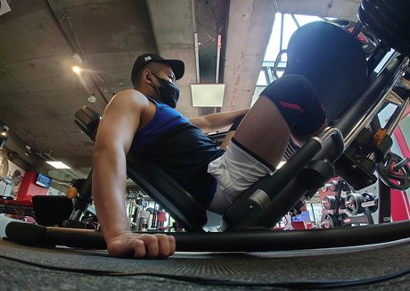 Largedogcollar photo 83