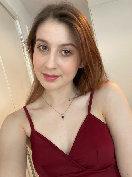 Largedogcollar photo 99