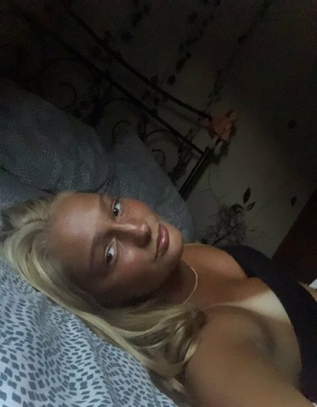 Largedogcollar photo 108