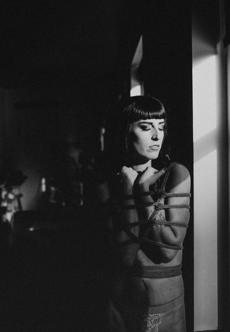 Largedogcollar photo 109