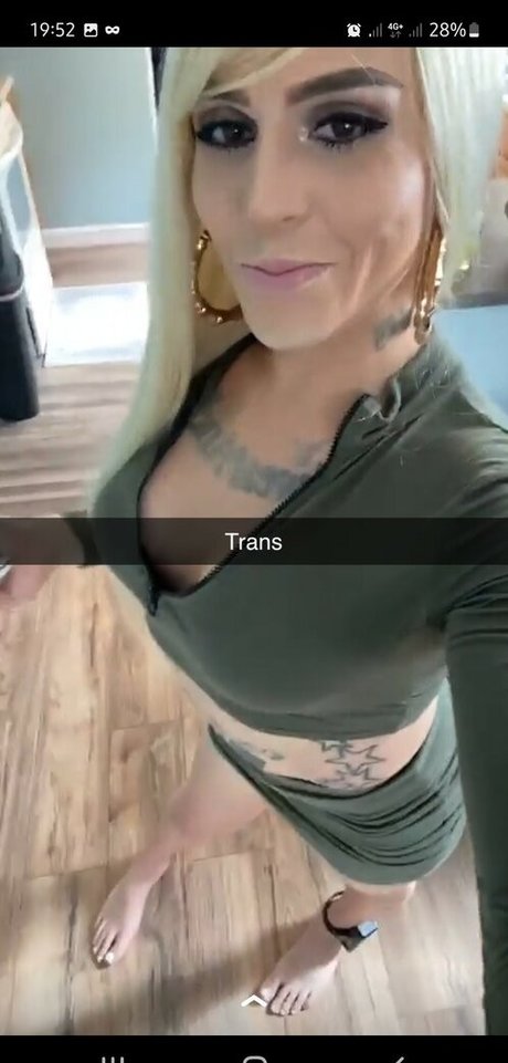 Largedogcollar photo 116