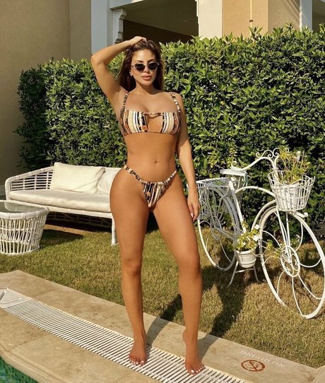 Larsapippen photo 1