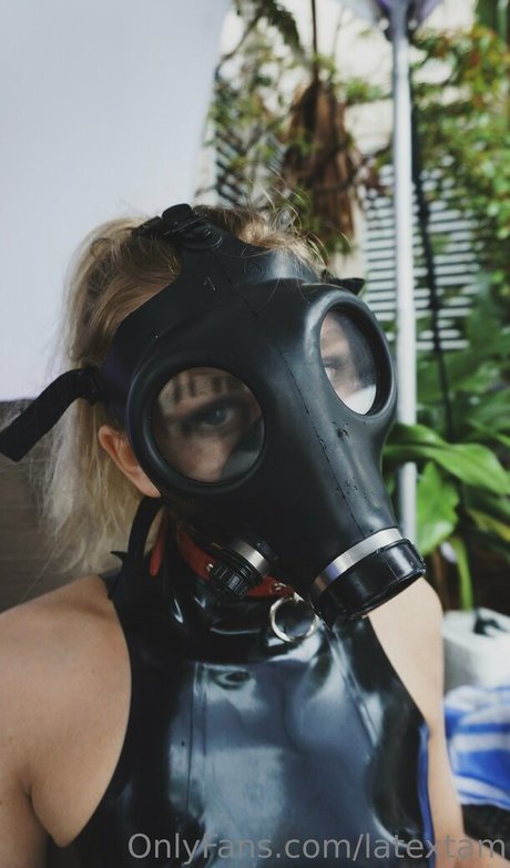 Latextam photo 3