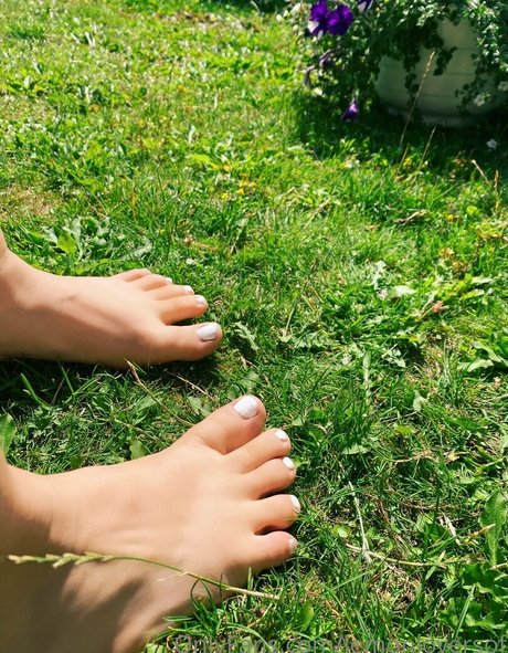 Profile photo of Lemonloversof