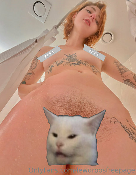 Lewdroosfreepage photo 86