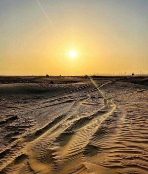 Linabmn photo 221