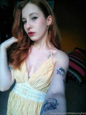 littlebunnyfree photo 5