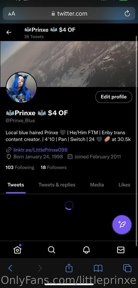 Littleprinxe photo 20