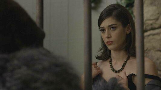 Lizzy Caplan photo 27