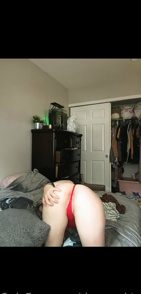 Loveslovely photo 45