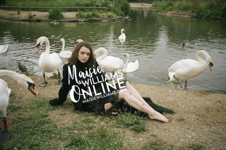 Maisie Williams photo 544
