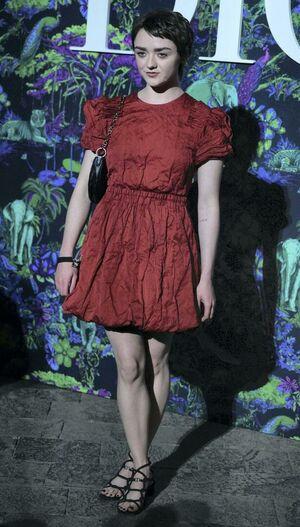 Maisie Williams photo 551