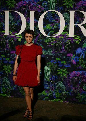 Maisie Williams photo 569