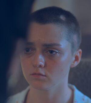 Maisie Williams photo 1072