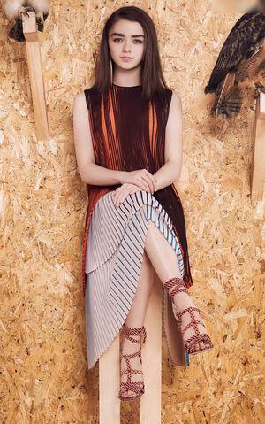 Maisie Williams photo 1174