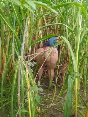 Marlene Soares photo 7