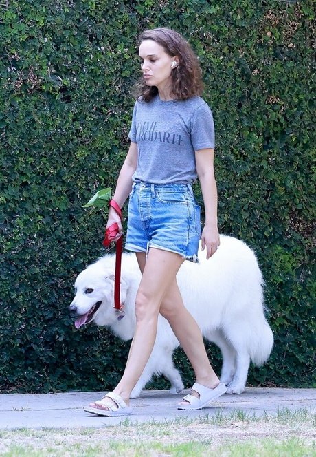 Natalie Portman photo 241