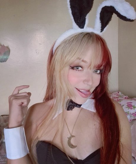 Nekoemy photo 2
