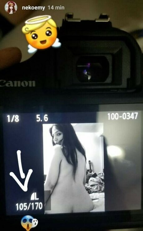 Nekoemy photo 47